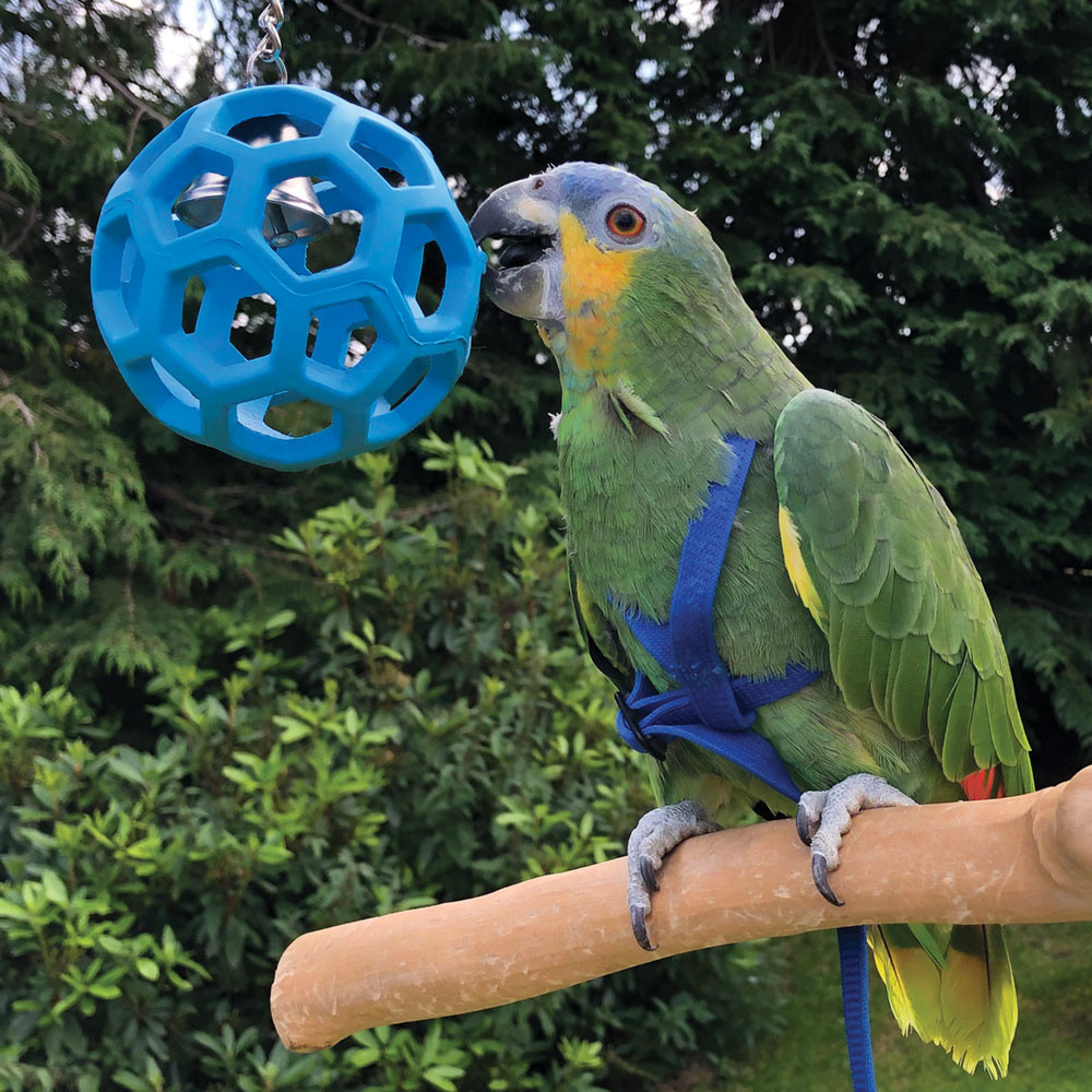 An image of Hol-ee Roller - Foraging Toy for Parrots