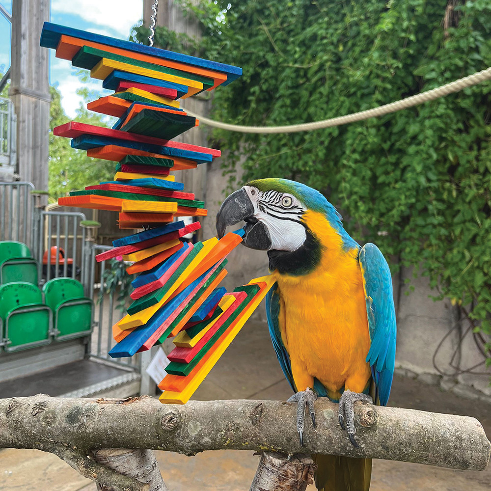 An image of Pharaon Tower Twist Parrot Toy - Medium