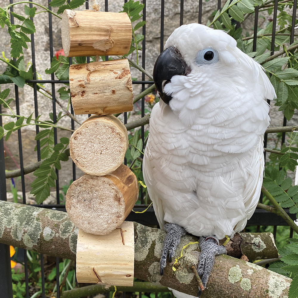 An image of Fiesta Bird Kabob Natural Shreddable Parrot Toy