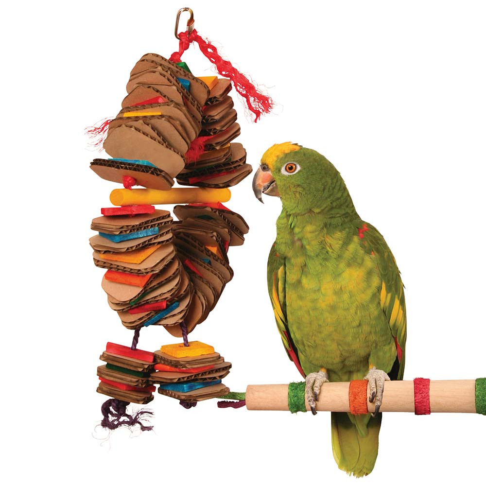 An image of Shredding Coronet Parrot Toy - Medium