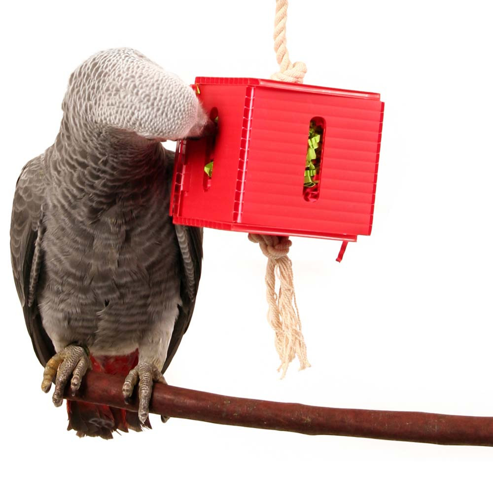 An image of Foraging Cube Parrot Toy - Medium