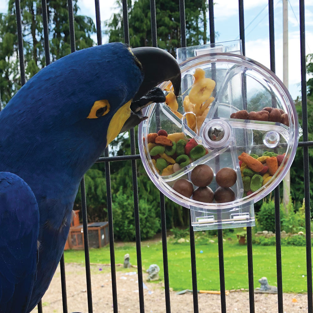 An image of Creative Foraging Original Wheel Interactive Parrot Toy