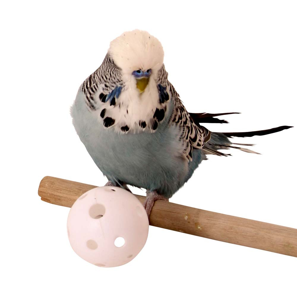 An image of Plastic Wiffle Balls - Parrot Toy Making Parts - Pack of 6