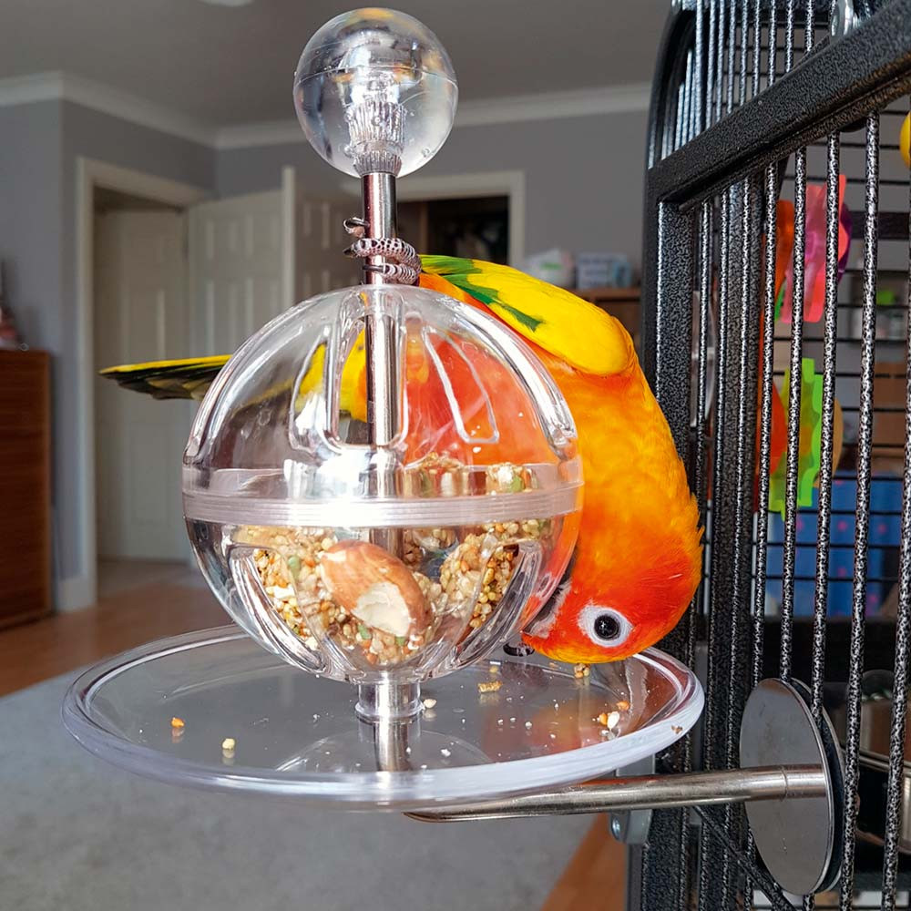An image of Buffet Ball with Cage Mount - Tough Foraging Parrot Toy