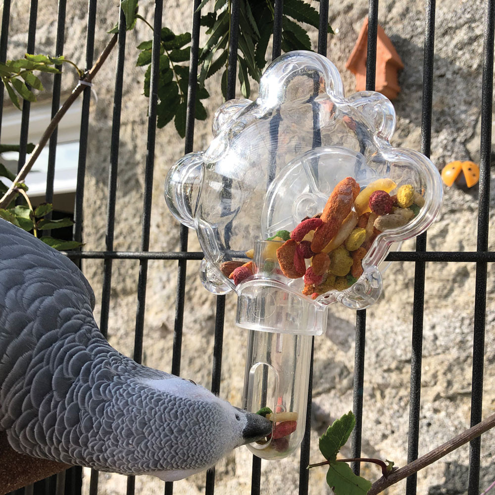 An image of Food Tumbler Foraging Parrot Toy