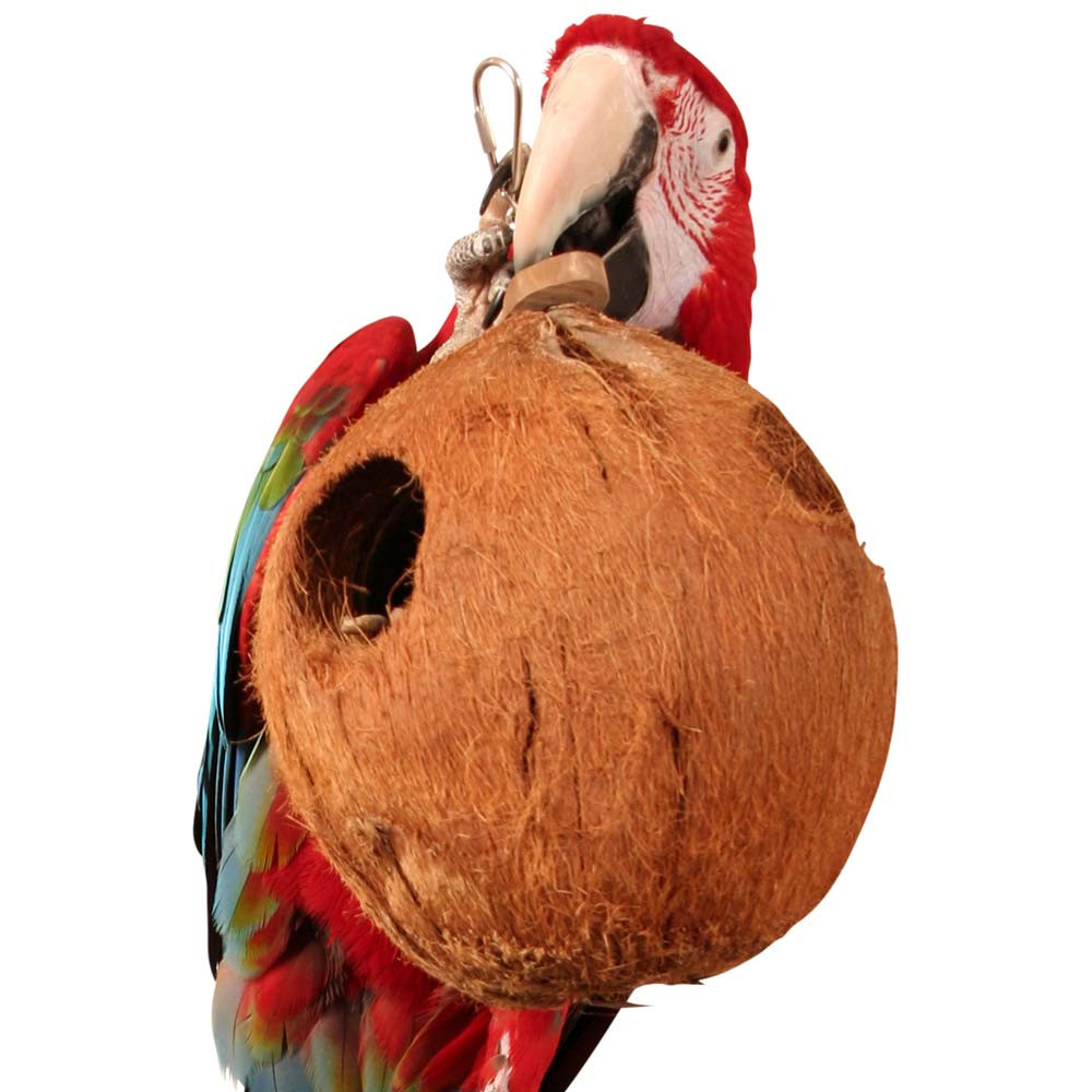 An image of Java Coco Full Moon Natural Parrot Toy