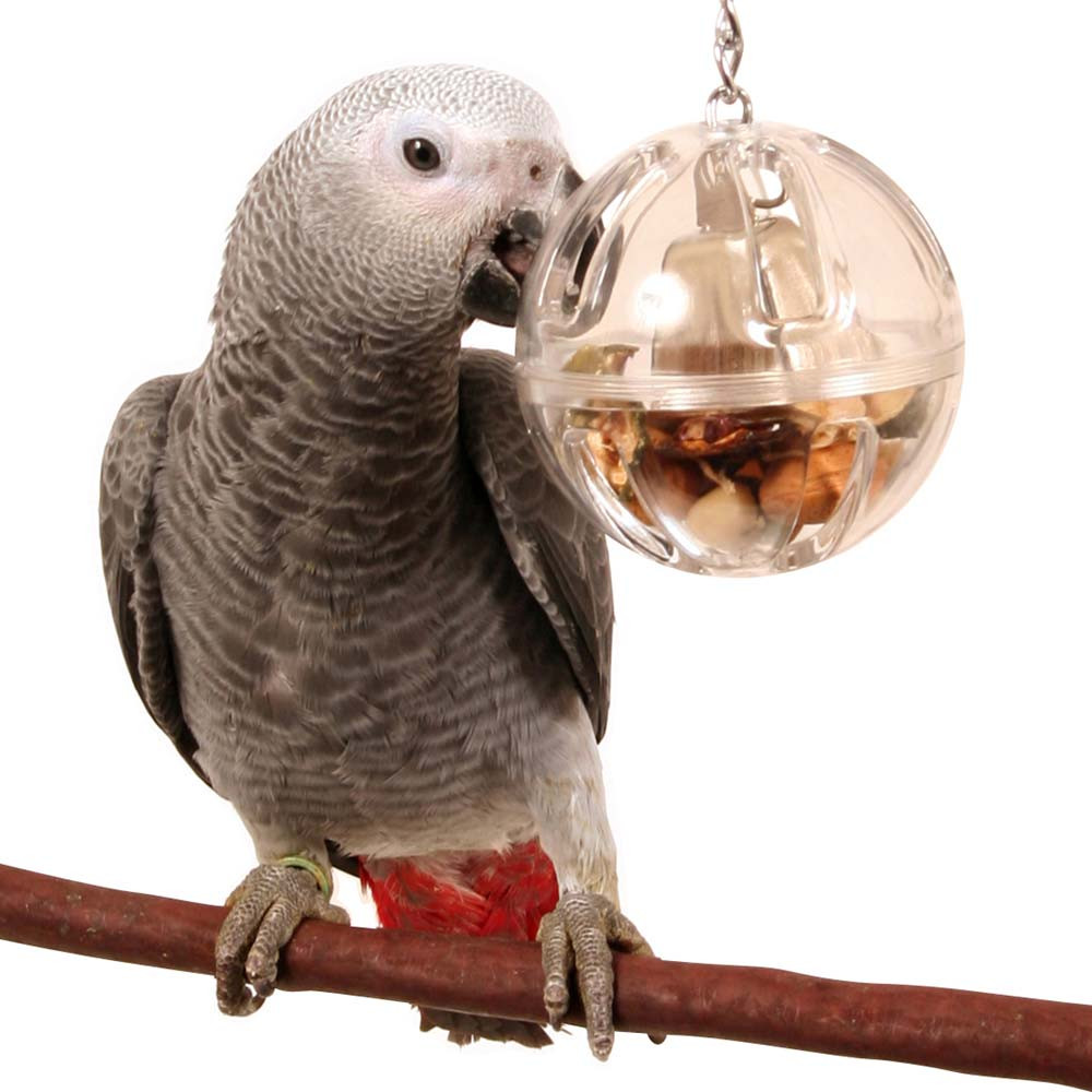 An image of Buffet Ball with Bell - Tough Foraging Toy