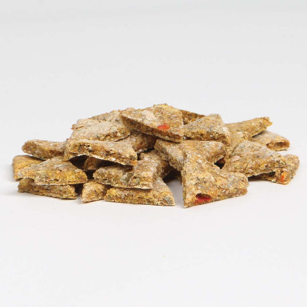 An image of Parrot Cafe Palm Oil Pizza Slice Treats for Parrots - 100g