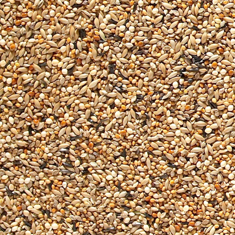 An image of Johnston and Jeff ABZ Finch Seed 20Kg