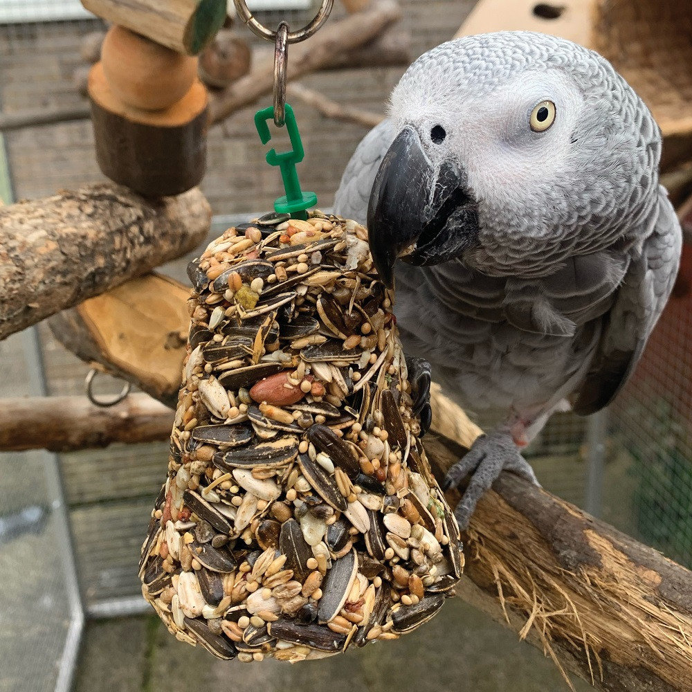 An image of Johnsons Parrot Bumper Treat Seed Bell - 150g