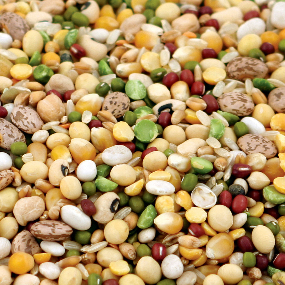 An image of Tidymix Human Grade Pulse and Rice Soaking Mix Parrot Food 2kg