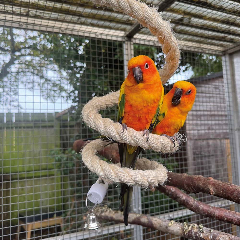 An image of Parrot Boing - Sisal Spiral Bouncing Perch - Medium
