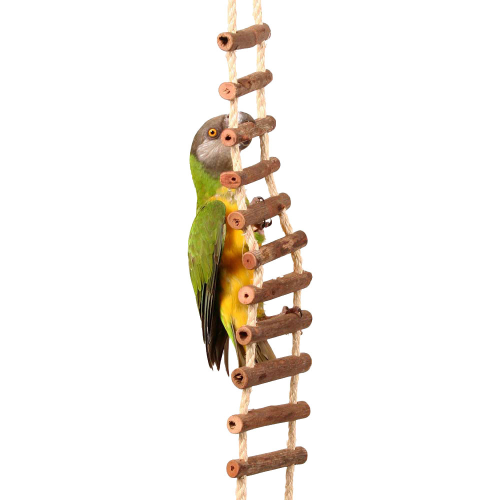An image of Natural Log Ladder Bridge Parrot Climbing Toy - Large