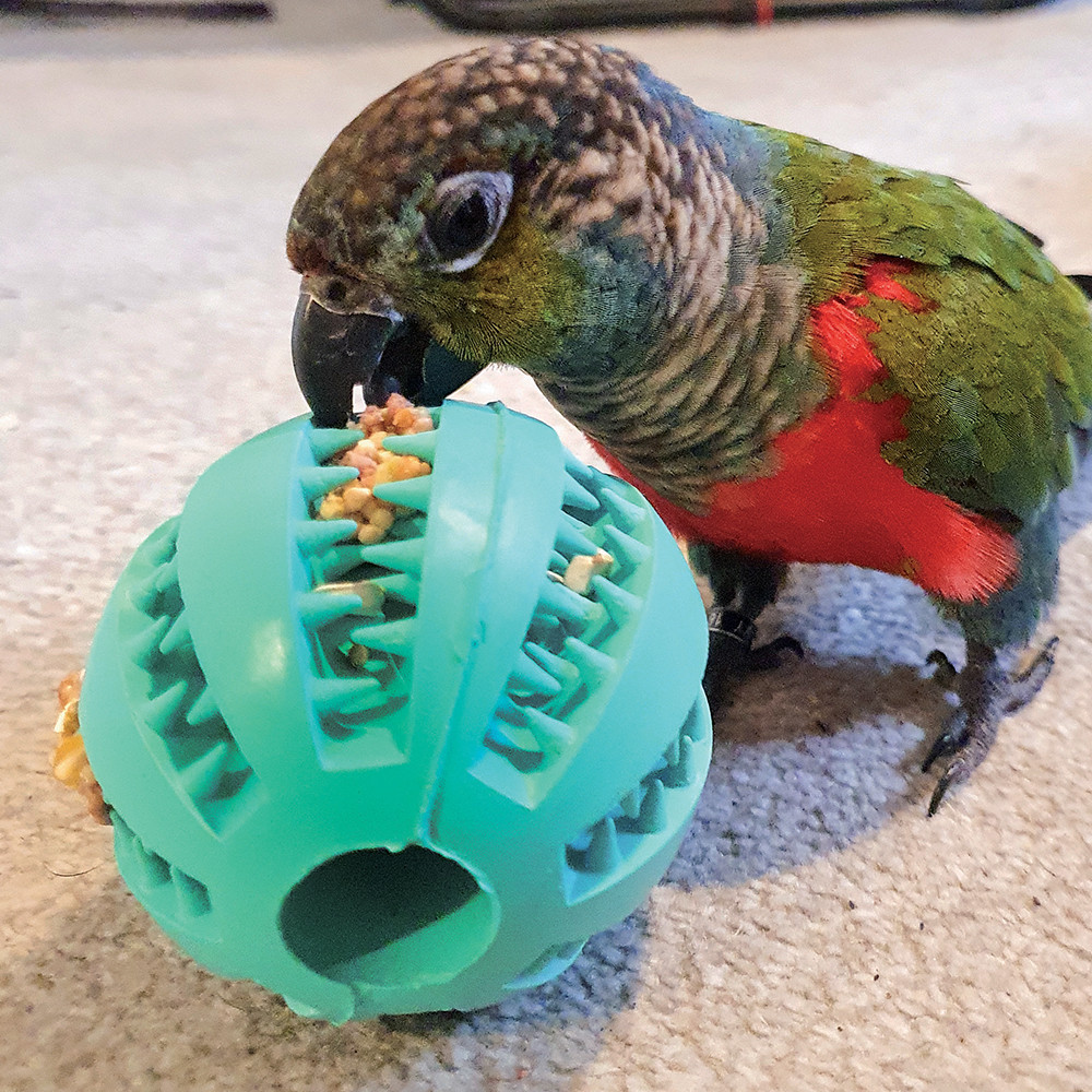 An image of Jaws Ball Rubber Foraging Toy