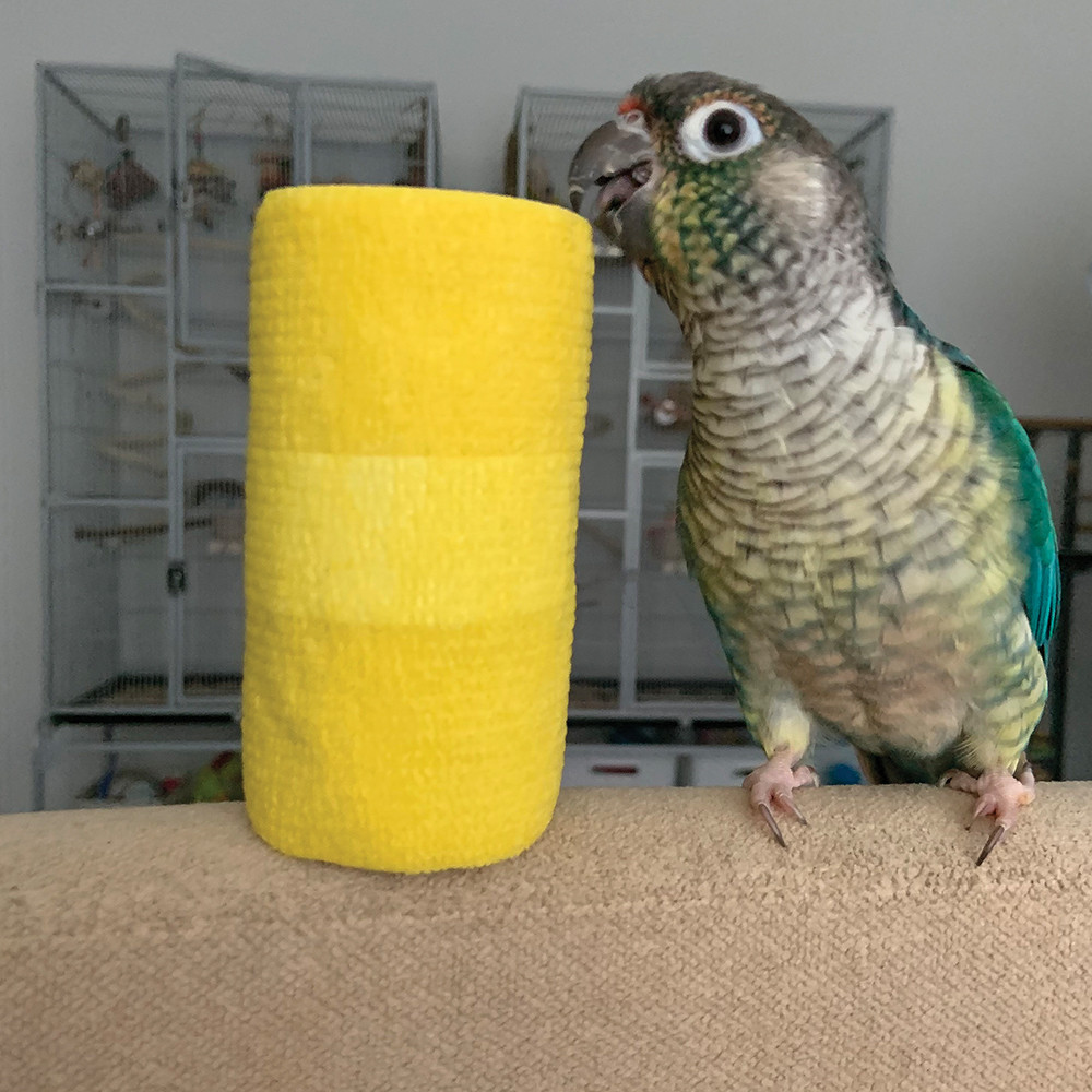 An image of Flexible Vet Wrap Bandage 4" Wide - Assorted Colours