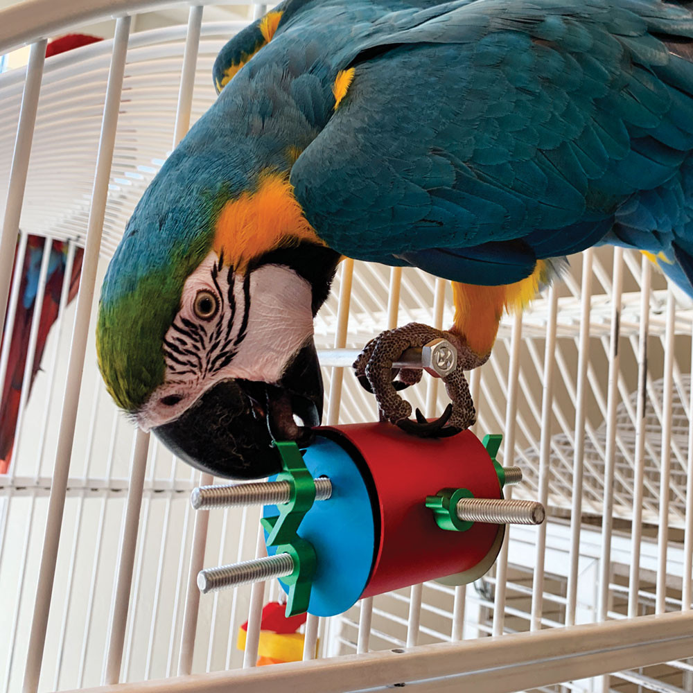 An image of The Busy Barrel Foraging Puzzle Parrot Toy