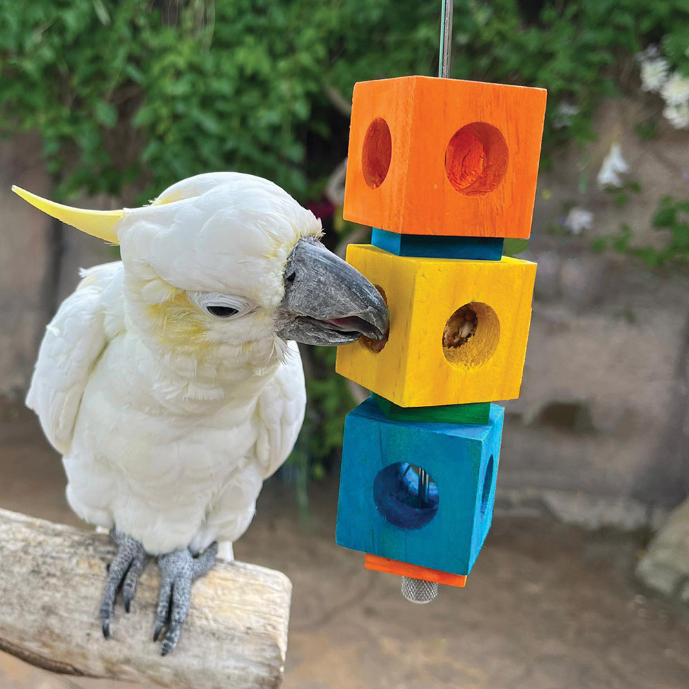 An image of Foraging Cubes Stacker Parrot Toy