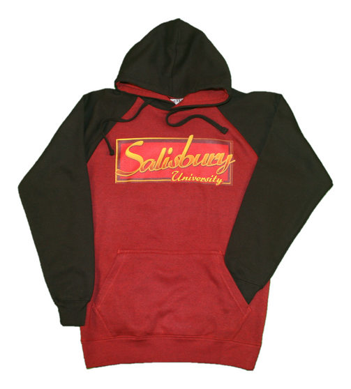 Salisbury 10.0 oz. Raglan Hoodie