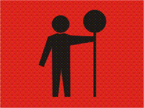 Traffic controller (NSW only)
