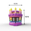 Bounce Cake Birthday size