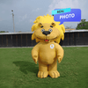 Lion Yellow Costume