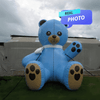 Mascot Bear Blue