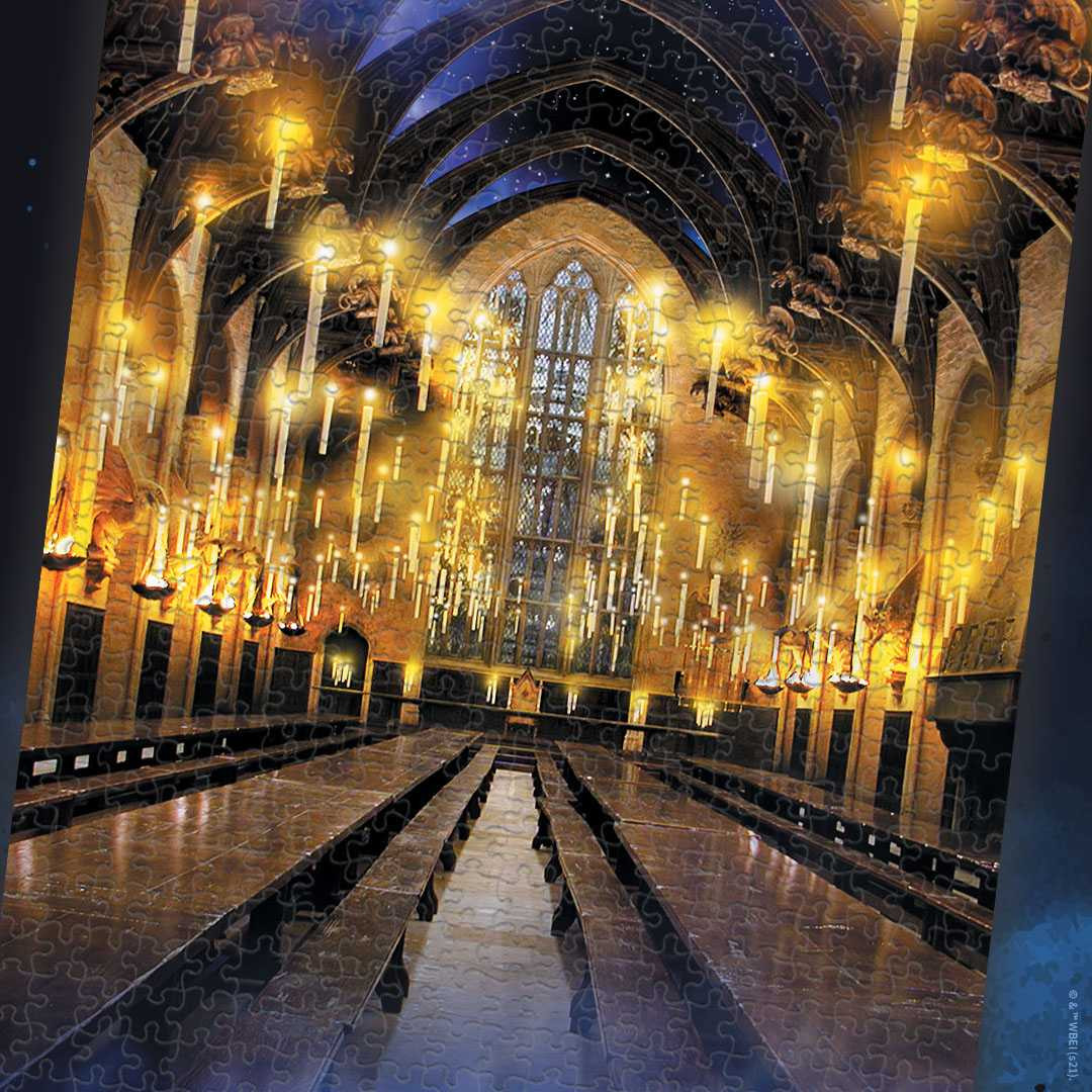 Entrance Hall Harry Potter Gold Bricks Hogwarts School Hogwarts