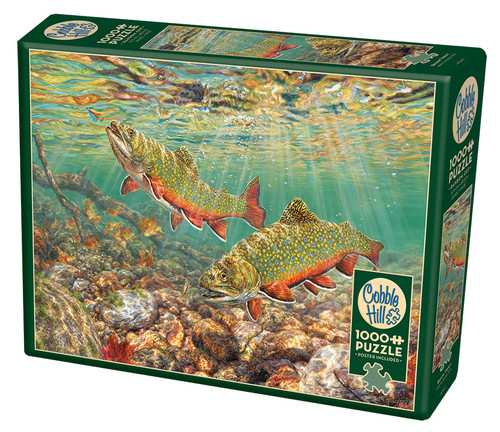 Brook Trout front of puzzle box, green box