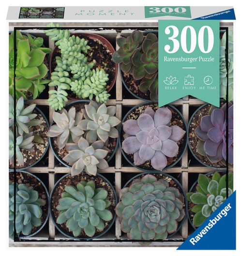 Green 300pc—Puzzle Moment  front of puzzle box, white box