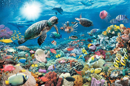 Beneath the Sea 5000pc  puzzle image of coral with turtles, fish and more 
