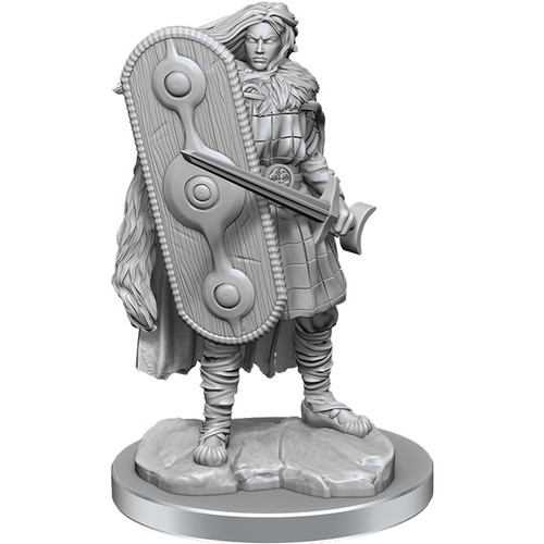 Humanoid with long cape, huge shield, a broad sword. 