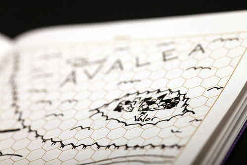 Sample pages featuring blank hexagon grid