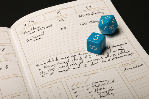 Sample Pages Attacks and Spellcasting
