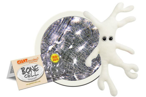 Bone Cell Giant Plush Microbe with info card
