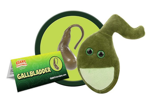 Gallbladder Giant Microbe with tag