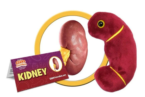 Kidney Giant Microbe with tag