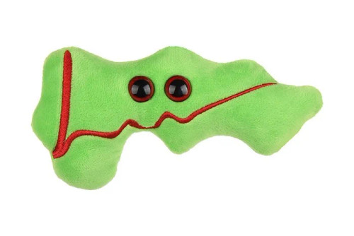 Pancreas Giant Microbe