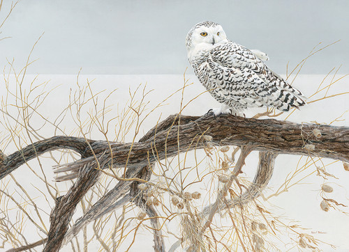 Fallen Willow Snowy Owl puzzle image