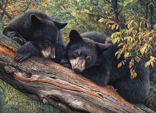 Mom's Awaiting bear cubs on a branch puzzle image