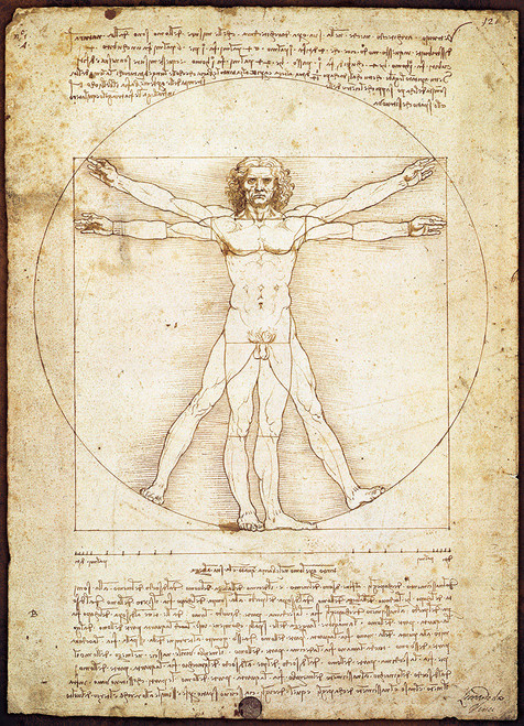 The Vitruvian Man, Da Vinci fine art puzzle image