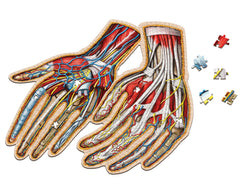 Human Hands Anatomy Jigsaw Puzzle