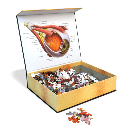Puzzle box open to reveal puzzle and image display