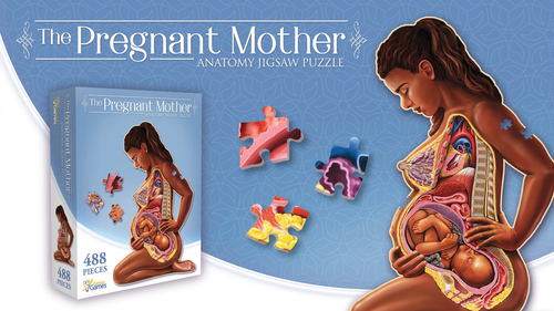 500 piece jigsaw puzzle featuring stunning anatomical art of a Pregnant Mother, by a Certified Medical Illustrator featuring the puzzle box cover