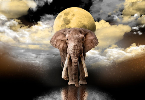 Elephant Dreams completed image