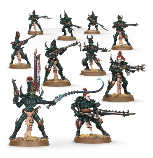 Drukhari Kabalite Warriors, 10 miniatures assembled and painted