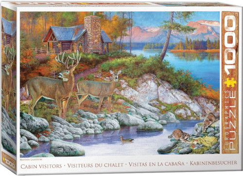 front of puzzle box for Cabin Visitors
