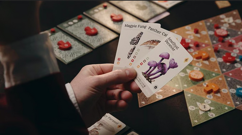 Game setup and a hand holding three mushroom cards