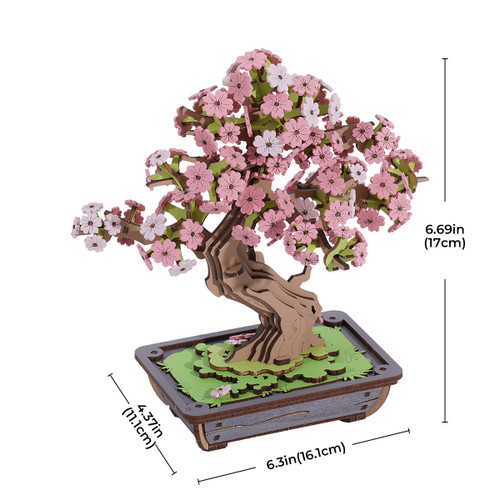 The final image and measurements listed