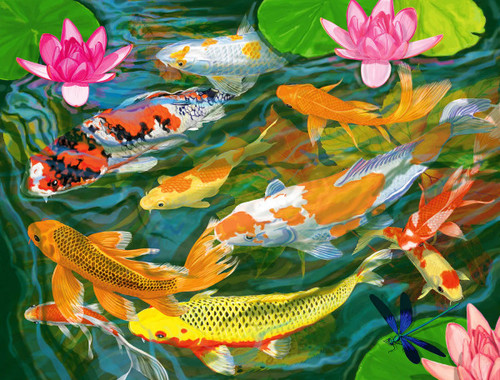 Puzzle image, depicting koi fish swimming among lily pads