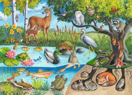 Puzzle image, art depicting animals abovewater and living underwater, as well as climbing a tree and burrowing beneath a tree